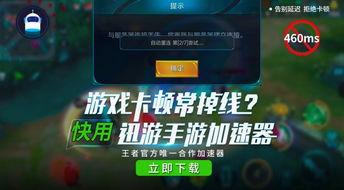 二舅王者爆料视频大全最新,揭秘游戏幕后真相与精彩瞬间  第3张